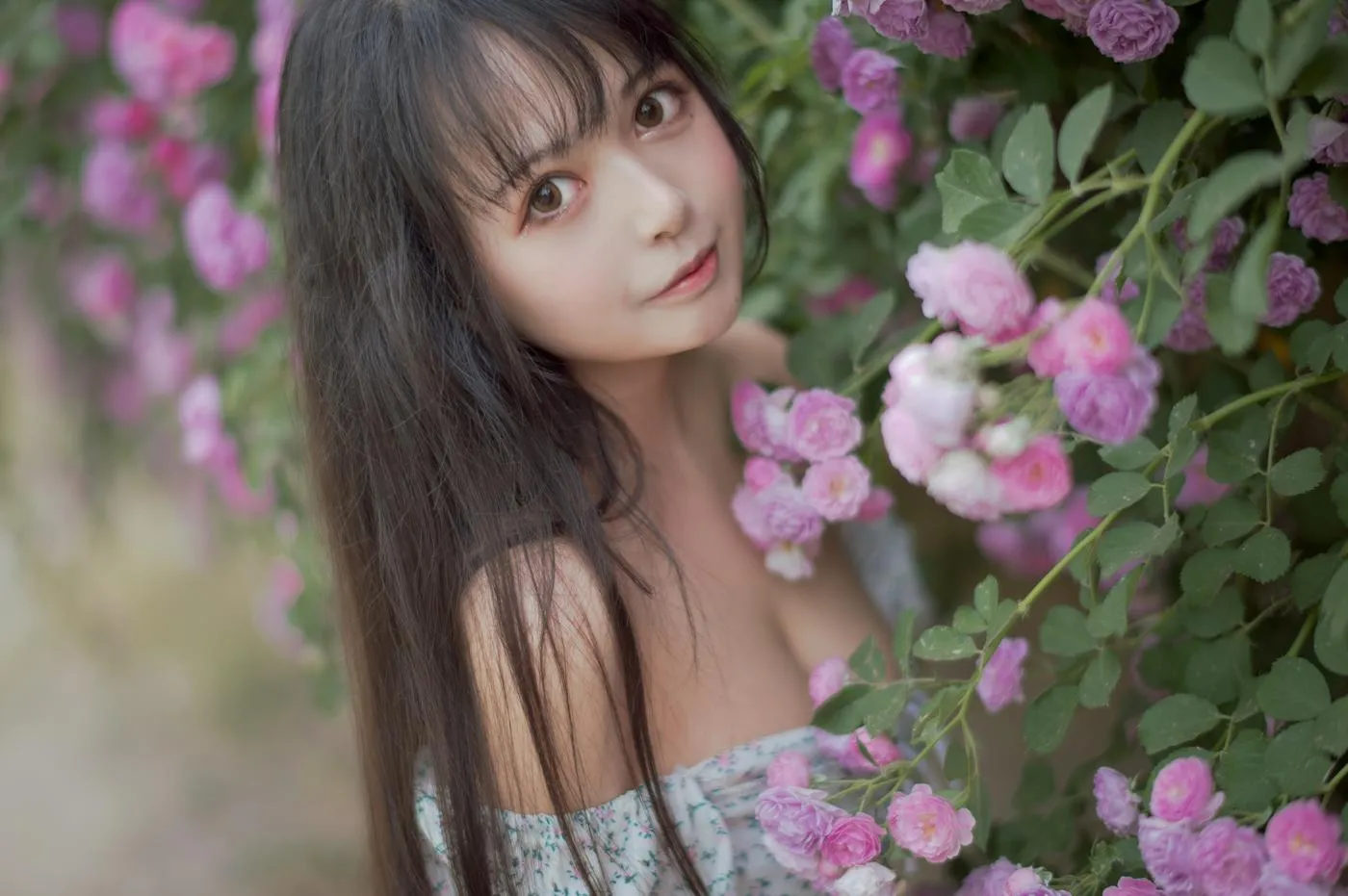 黑猫猫OvO – NO.23 蔷薇2 [27P]插图2